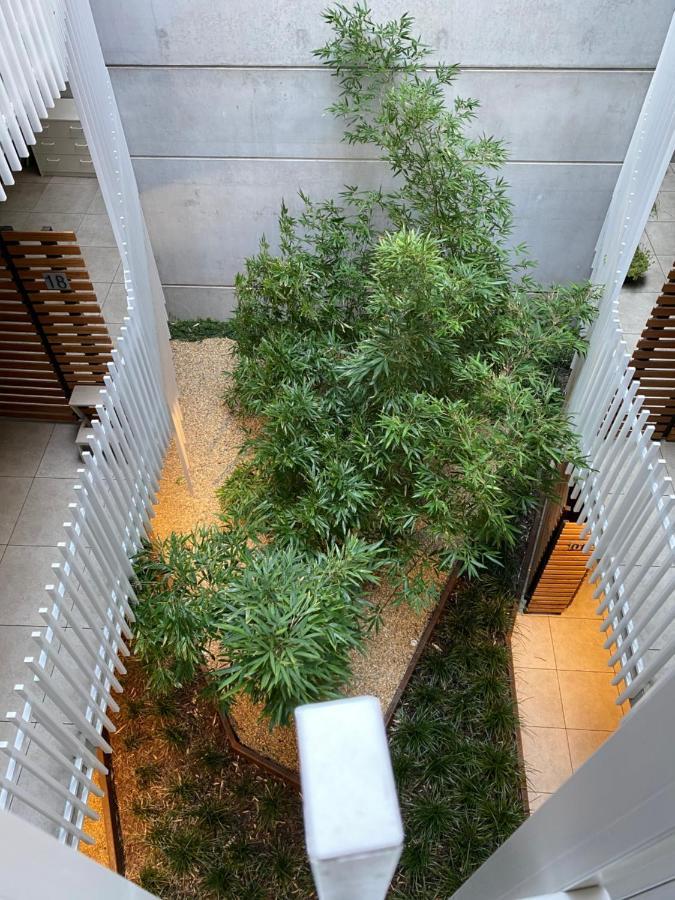 The Gallery Luxe 1 Bedroom Executive Apartment In The Heart Of Braddon Wine Secure Parking Wifi Canberra Kültér fotó